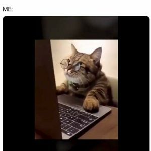 Meet your Posher, Victor